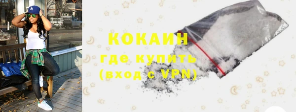 крисы Аркадак