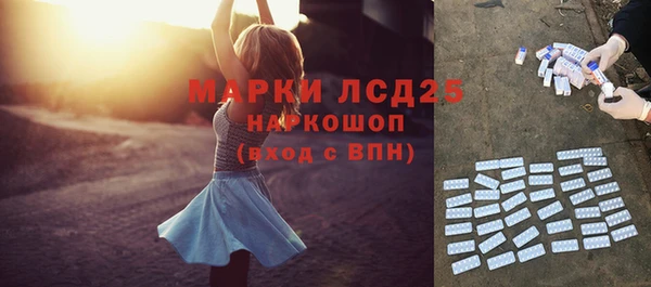 крисы Аркадак