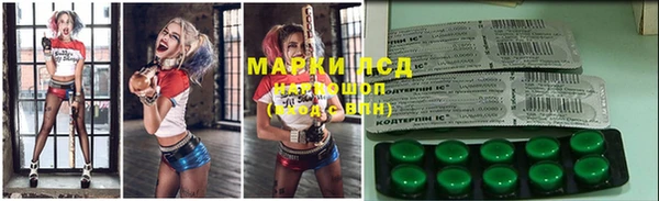 крисы Аркадак