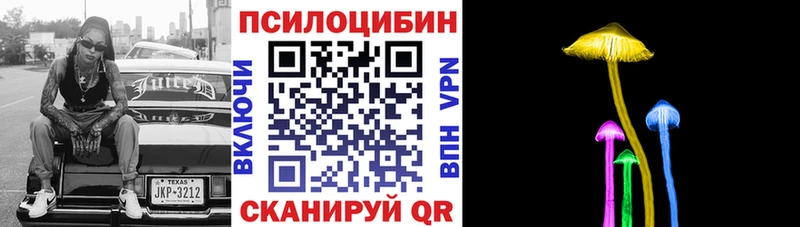 Псилоцибиновые грибы Psilocybine cubensis  Снежногорск 